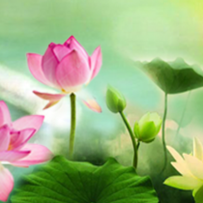 Kinh Lương Hoàng Sám